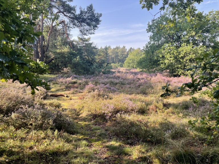 Ontdek de Veluwe op de Fiets: Doe Mee met de Veluwe Fiets 4-daagse in Otterlo! 2023